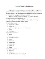 Biznesa plāns 'Autoserviss', 22.