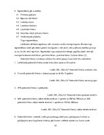 Biznesa plāns 'Autoserviss', 23.