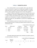 Biznesa plāns 'Autoserviss', 28.