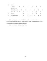 Biznesa plāns 'Autoserviss', 29.