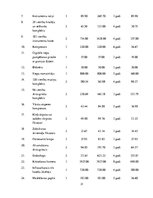 Biznesa plāns 'Autoserviss', 31.