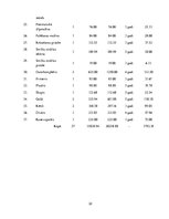 Biznesa plāns 'Autoserviss', 32.