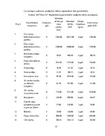 Biznesa plāns 'Autoserviss', 33.