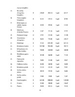 Biznesa plāns 'Autoserviss', 34.