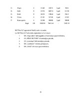 Biznesa plāns 'Autoserviss', 35.