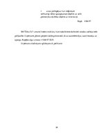 Biznesa plāns 'Autoserviss', 38.