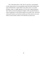 Biznesa plāns 'Autoserviss', 44.