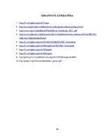 Biznesa plāns 'Autoserviss', 49.