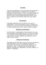 Konspekts 'Fotosintēze', 5.