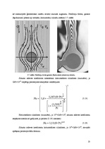 Referāts 'Konvektīvā siltuma pārnese', 23.