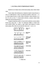 Referāts 'Konvektīvā siltuma pārnese', 46.