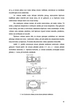 Referāts 'Konvektīvā siltuma pārnese', 48.