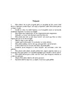 Konspekts 'Meteņi', 13.