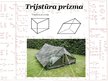 Prezentācija 'Sadzīvē sastopamās prizmas', 5.