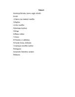 Referāts 'Veselīgs dzīvesveids', 1.