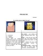 Referāts 'Veselīgs dzīvesveids', 25.