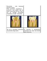 Referāts 'Veselīgs dzīvesveids', 28.