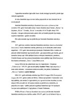 Referāts 'Basketbols', 3.