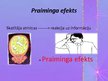 Prezentācija 'Pariminga efekts', 5.