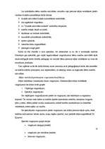 Referāts 'Kustību aktivitātes mācību procesā 6-gadīgu bērnu stājas veidošanai', 17.