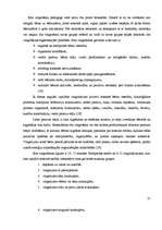 Referāts 'Kustību aktivitātes mācību procesā 6-gadīgu bērnu stājas veidošanai', 19.