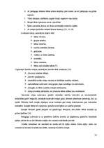 Referāts 'Kustību aktivitātes mācību procesā 6-gadīgu bērnu stājas veidošanai', 24.