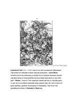 Referāts 'Kultūras vēsture', 7.