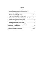 Referāts 'Kultūras vēsture', 18.