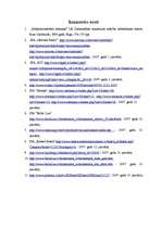 Referāts 'Darba rīku izvēle viesnīcā', 17.