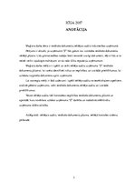 Diplomdarbs 'Ienākošo dokumentu iekšējais audits tirdzniecības uzņēmumā', 2.