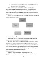Diplomdarbs 'Ienākošo dokumentu iekšējais audits tirdzniecības uzņēmumā', 25.