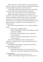 Diplomdarbs 'Ienākošo dokumentu iekšējais audits tirdzniecības uzņēmumā', 31.