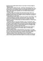 Eseja 'Akmens laikmeta un upju ielejas civilizācijas kopīgās un atšķirīgās īpašības', 1.