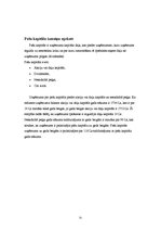 Prakses atskaite 'Prakses atskaite z/s "Niedres"', 31.