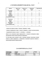 Diplomdarbs 'Разработка маркетингового плана для повышения конкурентоспособности на предприят', 31.