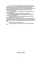 Referāts 'Turcija', 3.