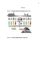 Referāts 'Atkritumu apsaimniekošana Latvijā', 28.