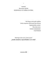 Konspekts 'Audita standartu nepieciešamība un to veidi', 1.