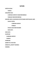 Konspekts 'Kurtrē kauja, 1302.gads', 2.