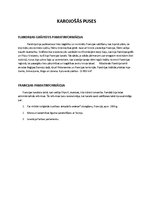 Konspekts 'Kurtrē kauja, 1302.gads', 4.