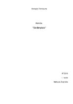 Referāts 'Sistēmplate', 1.