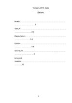 Referāts 'Sistēmplate', 2.