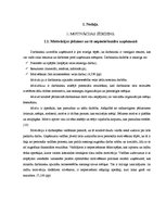 Referāts 'Motivācija', 1.
