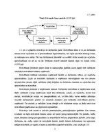 Referāts 'Motivācija', 2.