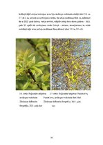 Diplomdarbs 'Sabiedrības iesaiste zinātnē fenoloģijas piemērā Latvijā', 36.