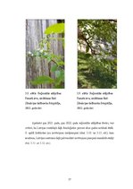 Diplomdarbs 'Sabiedrības iesaiste zinātnē fenoloģijas piemērā Latvijā', 37.