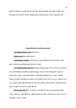 Prakses atskaite 'Pirmsskolas izglītības prakse', 14.