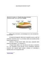 Referāts 'Vēlēšanu analīze', 13.