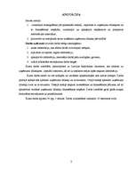 Referāts 'Uzņēmuma līdzekļi un to finansēšana', 5.