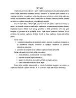 Referāts 'Uzņēmuma līdzekļi un to finansēšana', 7.